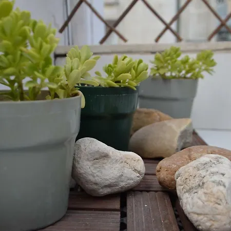 Apartment White Tower *