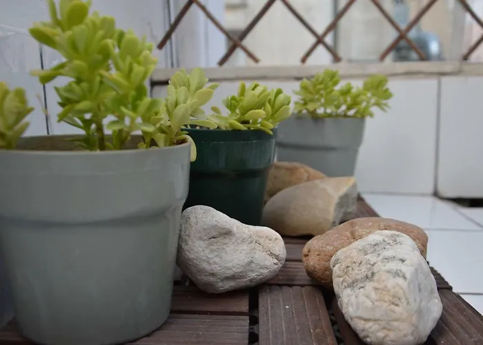 公寓 White Tower *